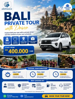 Bali Private Car with Driver